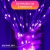 Розумна гірлянда Smart 200 LED довжина 2 м з керуванням зі смартфона прозора, мультиколор 1733042W Розумна гірлянда Smart 200 LED довжина 2 м з керуванням зі смартфона прозора, мультиколор 1733042W