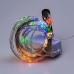 Гірлянда світлодіодна кінський хвіст GarlandoPro 200LED Роса 2м 10 ліній 173309ML