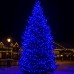 Гірлянда Різдвяна фея вулична 50 (м) 500 LED чорний провід Синій CF500L50MBBL Гірлянда Різдвяна фея вулична 50 (м) 500 LED чорний провід Синій CF500L50MBBL